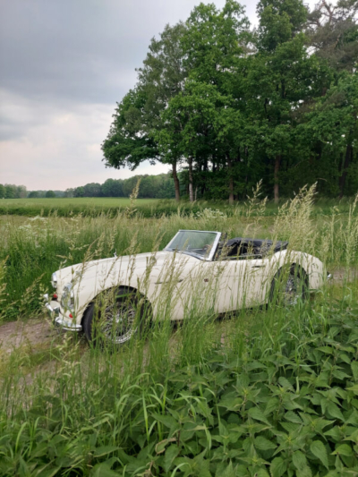 Ekhard Freund