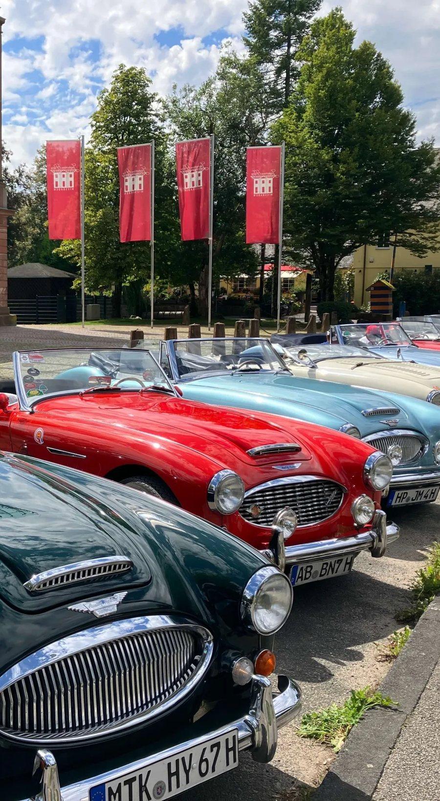 Reihe von Austin-Healey-Roadstern bei einer Clubausfahrt in Wiesbaden, Rhein-Main-Stammtisch
