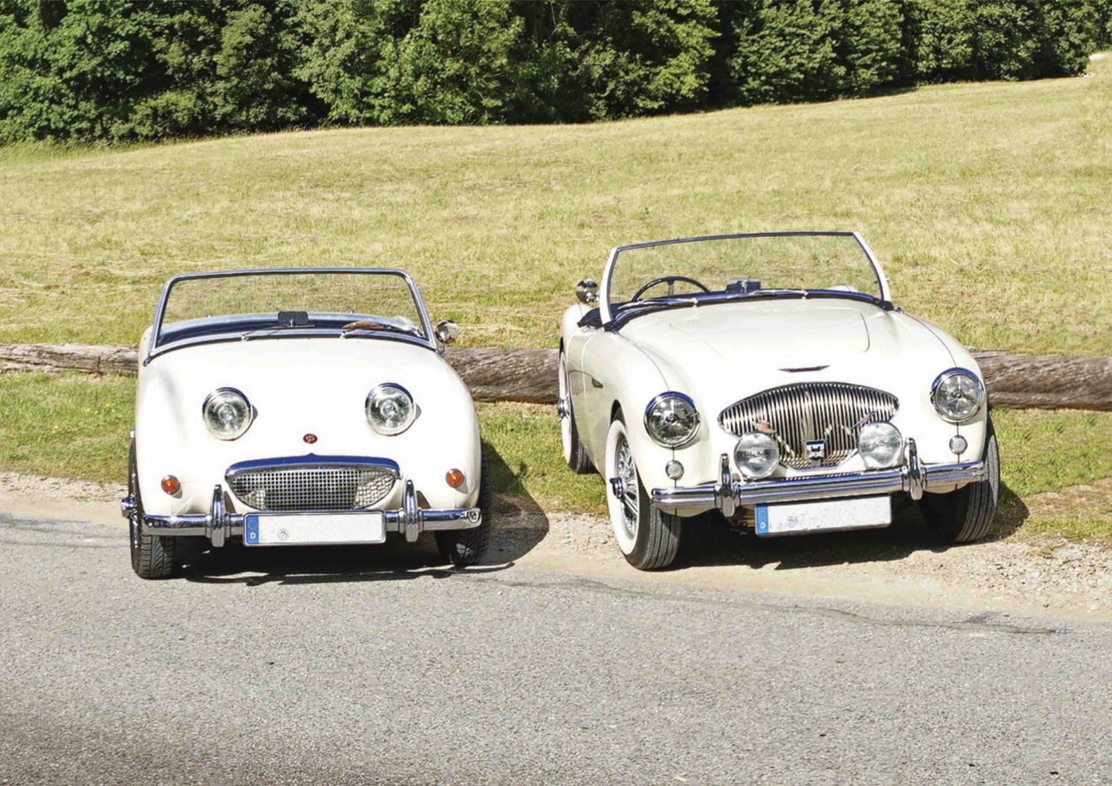 Austin Healey Sprite Frogeye und Austin Healey 100 in Weiß nebeneinander am Wiesenrand